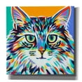 thumbnail image 1 of Epic Graffiti  'Dramatic Cats I' by Carolee Vitaletti Giclee Canvas Wall Art, 12"x12" 18 x 18, 1 of 3