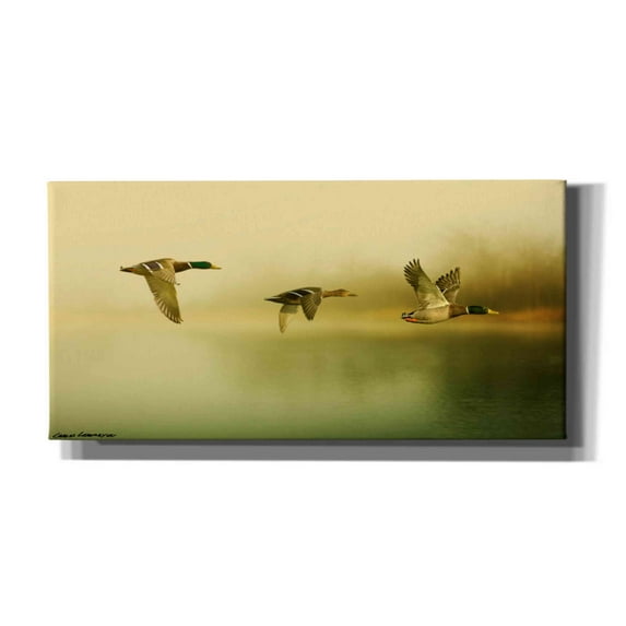 Epic Graffiti 'Ducks Flying' by Carlos Casamayor, Canvas Wall Art, 24"x12"