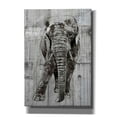 thumbnail image 1 of Epic Graffiti 'ELEPHANT Portrait' by Irena Orlov, Canvas Wall Art, 12"x18", 1 of 3