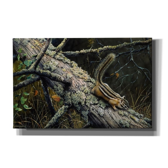 Epic Graffiti 'Eastern Chipmunk' by Harro Maass, Canvas Wall Art, 40"x26"