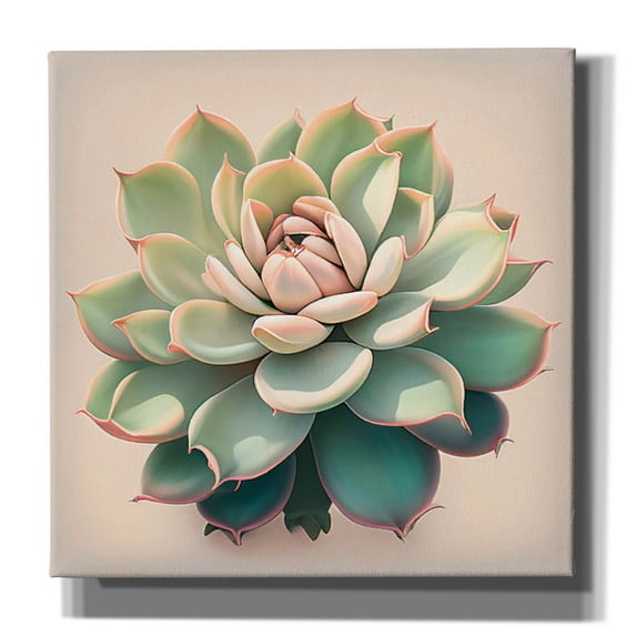 Epic Graffiti 'Echeveria Pulidinis' by Incado Canvas Wall Art, 12" x 12"