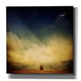 thumbnail image 1 of Epic Graffiti 'Echo Of A Sigh' by Philippe Sainte-Laudy, Canvas Wall Art, 12"x12", 1 of 8