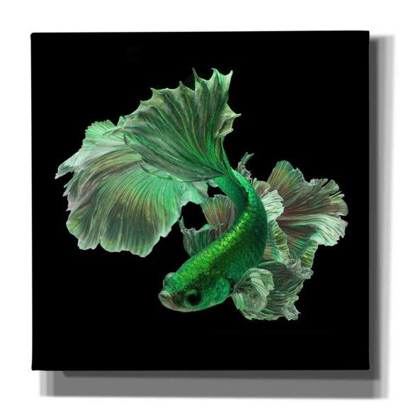 Epic Graffiti 'Emerald Fighter' by Epic Portfolio, Giclee Canvas Wall Art, 26"x26"