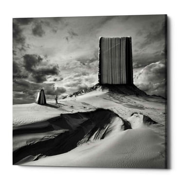 Epic Graffiti Epic Grafitti "Bookland" by Dariusz Klimczak, Giclee Canvas Wall Art 18" x 18"