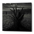 thumbnail image 1 of Epic Graffiti Epic Grafitti "Cactus" by Dariusz Klimczak, Giclee Canvas Wall Art 12" x 12", 1 of 2