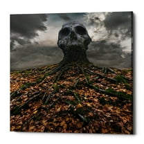 Epic Graffiti Epic Grafitti "Czacha" by Dariusz Klimczak, Giclee Canvas Wall Art 18" x 18"