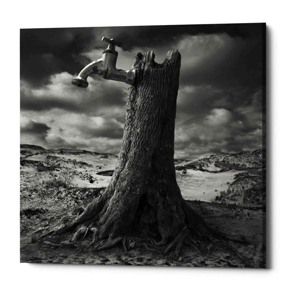 Epic Graffiti Epic Grafitti "Dry" by Dariusz Klimczak, Giclee Canvas Wall Art 18" x 18"