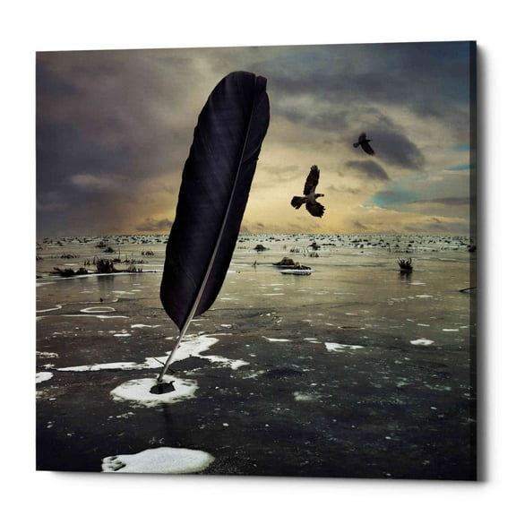 Epic Graffiti Epic Grafitti "Featherland" by Dariusz Klimczak, Giclee Canvas Wall Art 18" x 18"