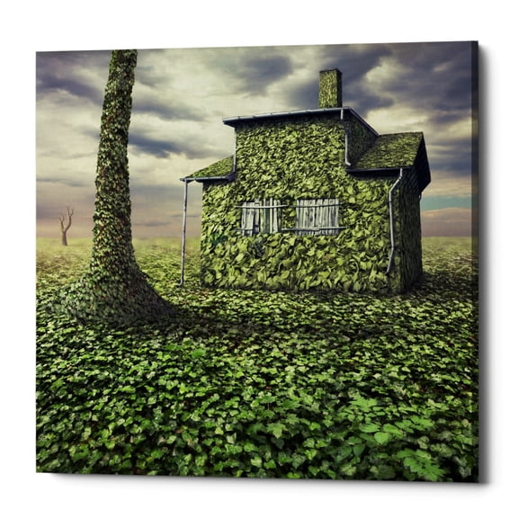 Epic Graffiti Epic Grafitti "House of Leaves" by Dariusz Klimczak, Giclee Canvas Wall Art 18" x 18"