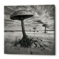 thumbnail image 1 of Epic Graffiti Epic Grafitti "Kanie" by Dariusz Klimczak, Giclee Canvas Wall Art 26" x 26", 1 of 2