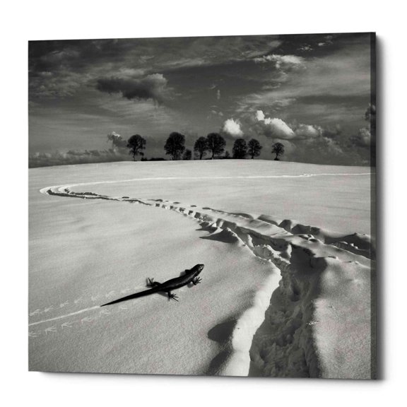 Epic Graffiti Epic Grafitti "Snowy Lizard" by Dariusz Klimczak, Giclee Canvas Wall Art 18" x 18"