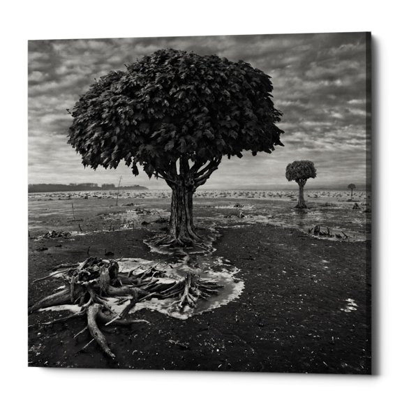 Epic Graffiti Epic Grafitti "Trees" by Dariusz Klimczak, Giclee Canvas Wall Art 12" x 12"