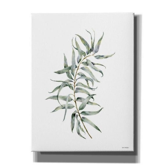 Epic Graffiti 'Eucalyptus I' by Seven Trees Design, Canvas Wall Art, 12"x16"