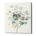thumbnail image 1 of Epic Graffiti  "Eucalyptus III White" by Danhui Nai, Giclee Canvas Wall Art 26" x 34", 1 of 2