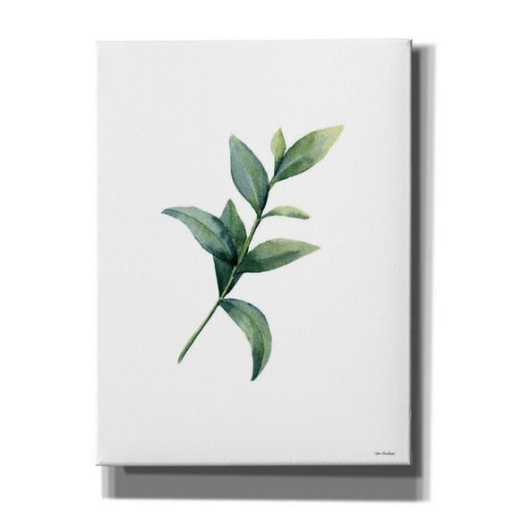 Epic Graffiti 'Eucalyptus III' by Seven Trees Design, Canvas Wall Art, 12"x16"