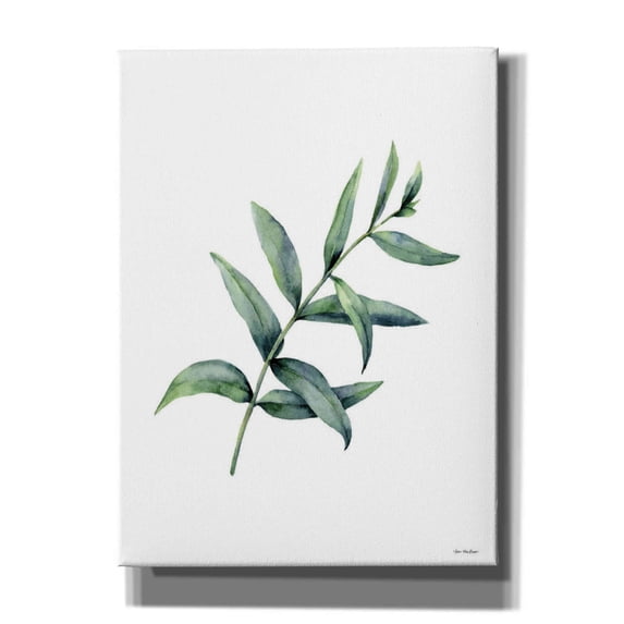 Epic Graffiti 'Eucalyptus V' by Seven Trees Design, Canvas Wall Art, 40"x54"