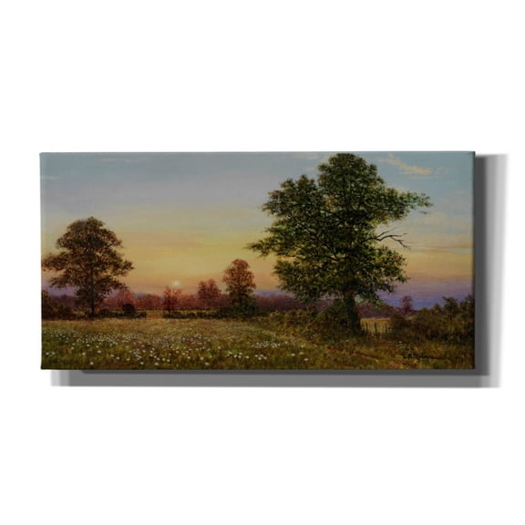 Epic Graffiti 'Evening Daisies' by Bill Makinson, Canvas Wall Art, 24"x12"