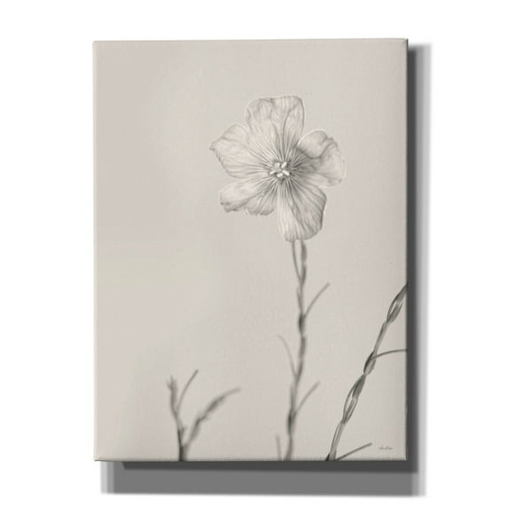Epic Graffiti 'Faded Flower III' by Lori Deiter, Canvas Wall Art, 12"x16"
