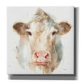 thumbnail image 1 of Epic Graffiti 'Farm Friends II' by Lisa Audit, Canvas Wall Art, 26"x26", 1 of 8
