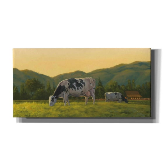 Epic Graffiti 'Farm Life III' by James Wiens, Canvas Wall Art, 60"x30"