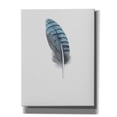 thumbnail image 1 of Epic Graffiti 'Feather 2' by Incado, Giclee Canvas Wall Art, 26"x34", 1 of 8