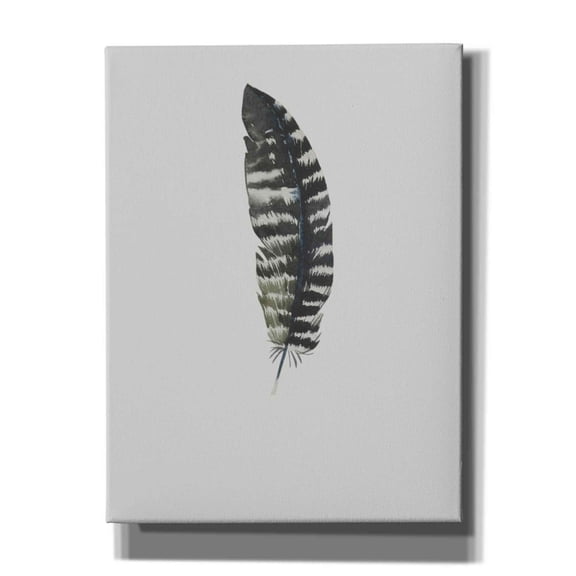 Epic Graffiti 'Feather 5' by Incado, Giclee Canvas Wall Art, 12"x16"