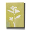 thumbnail image 1 of Epic Graffiti 'Field Notes 3'  by Bronwyn Baker Canvas Wall Art, 12" x 16", 1 of 8