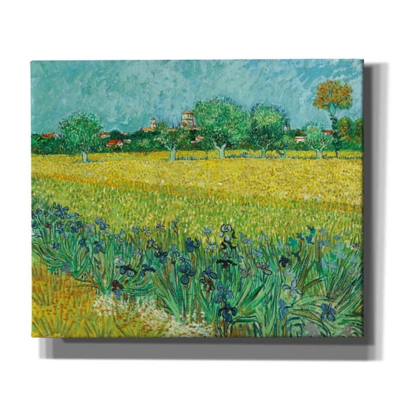 Epic Graffiti 'Field With Irises Near Arles' by Vincent Van Gogh, Giclee Canvas Wall Art, 24"x20"