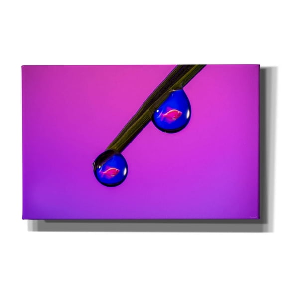 Epic Graffiti 'Fish In A Drop 3' by Gordon Semmens Canvas Wall Art, 40" x 26"