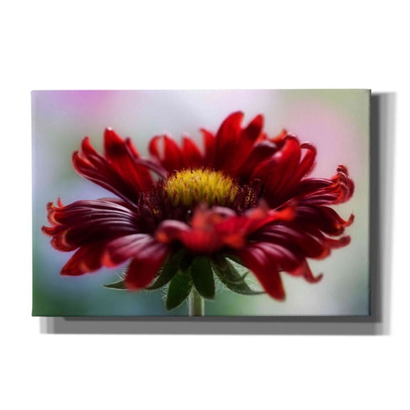 Epic Graffiti 'Flame' by Mandy Disher, Giclee Canvas Wall Art, 18"x12"