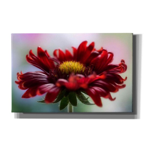 Epic Graffiti 'Flame' by Mandy Disher, Giclee Canvas Wall Art, 40"x26"