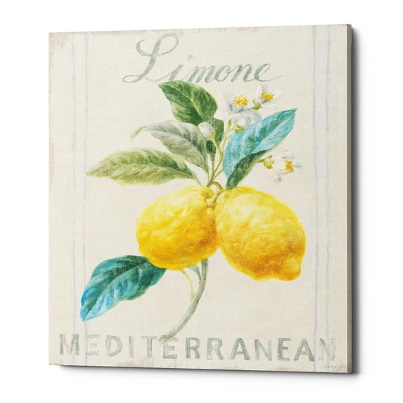 Epic Graffiti 'Floursack Lemon III' by Danhui Nai, Canvas Wall Art, 20"x24"