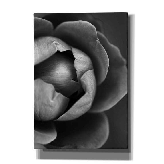 Epic Graffiti 'Flower Bloom' by Incado, Giclee Canvas Wall Art, 18"x26"