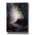 thumbnail image 1 of Epic Graffiti 'Flowers in the Dark' by Anthony Casay, Canvas Wall Art, 40"x54", 1 of 8