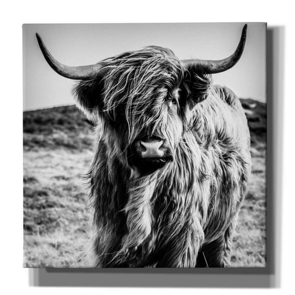 Epic Graffiti 'Fluffy Cow' by Epic Portfolio Giclee Canvas Wall Art, 18"x18"