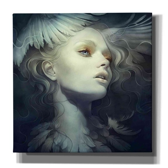 Epic Graffiti 'Fly' by Anna Dittman, Giclee Canvas Wall Art, 37"x37"