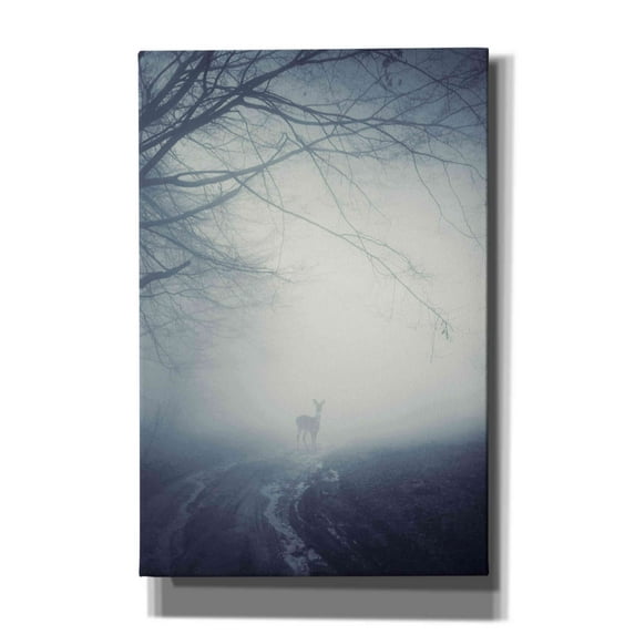Epic Graffiti 'Foggy Morning Hike' by Incado, Giclee Canvas Wall Art, 40"x60"