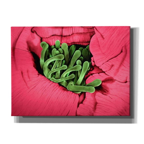 Epic Graffiti 'Folds' by Rita Shimelfarb, Giclee Canvas Wall Art, 16"x12"