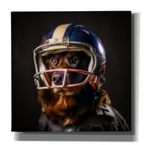 Epic Graffiti 'Football 2'  by Sean Parnell Canvas Wall Art, 26" x 26"