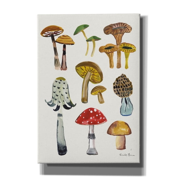 Epic Graffiti 'Forest Mushrooms 2 C' by Farida Zaman Canvas Wall Art, 18" x 26"