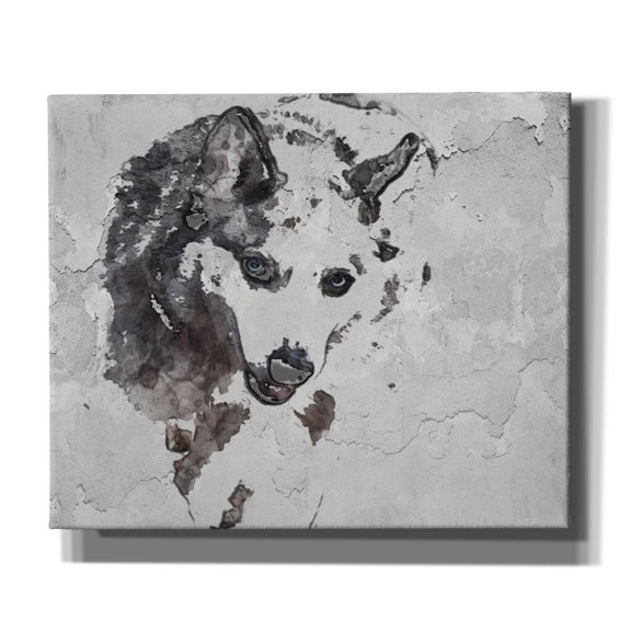 Epic Graffiti 'Forest Wolf' by Irena Orlov, Canvas Wall Art, 24"x20"