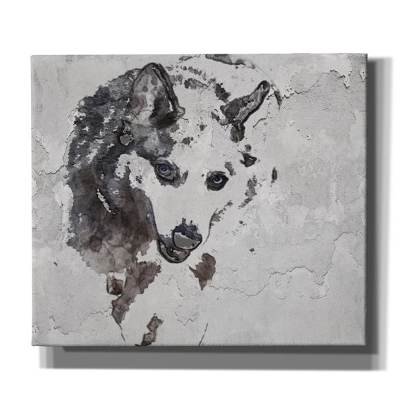 Epic Graffiti 'Forest Wolf' by Irena Orlov, Canvas Wall Art, 30"x26"