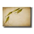 thumbnail image 1 of Epic Graffiti 'Fox Tails' by Jessica Rogers, Canvas Wall Art, 26"x18", 1 of 8