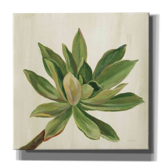 Epic Graffiti 'Front Yard Succulent I' by Silvia Vassileva, Canvas Wall Art, 12"x12"