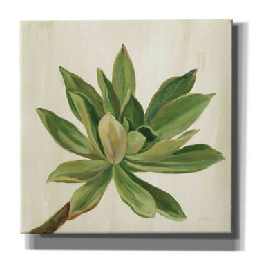 Epic Graffiti 'Front Yard Succulent I' by Silvia Vassileva, Canvas Wall Art, 18"x18"