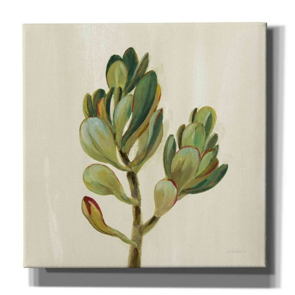 Epic Graffiti 'Front Yard Succulent II' by Silvia Vassileva, Canvas Wall Art, 18"x18"