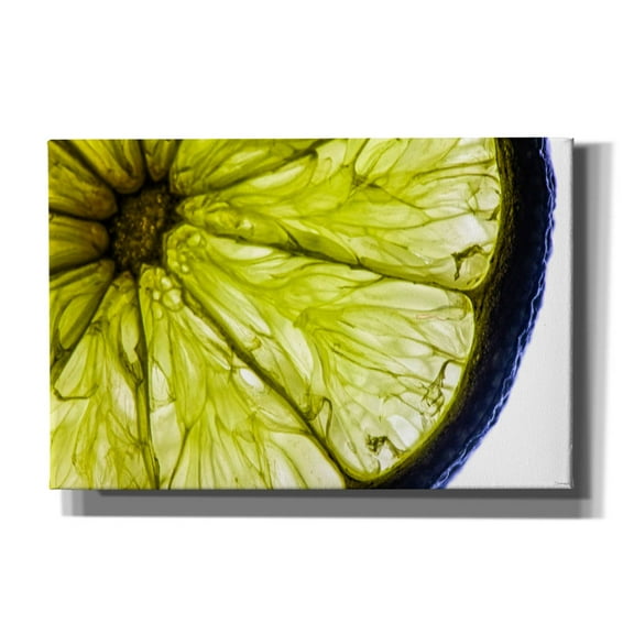Epic Graffiti 'Fruit Macros 04' by Gordon Semmens, Canvas Wall Art, 18"x12"