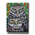 thumbnail image 1 of Epic Graffiti 'Furry Feather Friends I' by Carolee Vitaletti Canvas Wall Art, 12"x16", 1 of 3