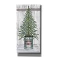 thumbnail image 1 of Epic Graffiti 'Galvanized Pot Fir' by Cindy Jacobs, Canvas Wall Art, 12"x24", 1 of 2