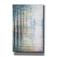 thumbnail image 1 of Epic Graffiti 'Gentle Forest Light' by Marc Todd, Canvas Wall Art, 26"x40", 1 of 8